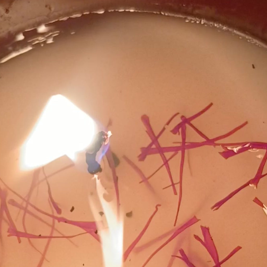 Detail of whole saffron threads set into candle wax beside a lit wick